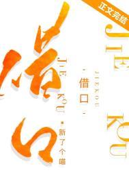 借口公司2原版