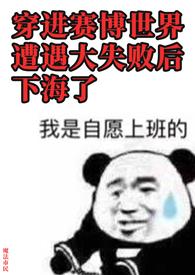穿进赛博世界遭遇大失败后下海了 作者魔法市