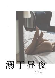 溺于昼夜免费阅读全文