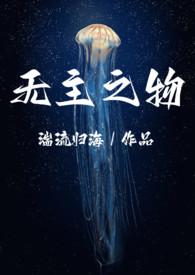 无主之作讲的什么