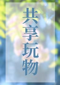 共享玩物NP结局是什么