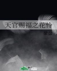 天官赐福花怜甜宠文
