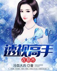 透视高手在都市方岩