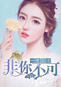 一夜沉婚全文阅读