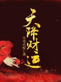 天降财运顶点网