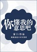 你懂我的意思吗