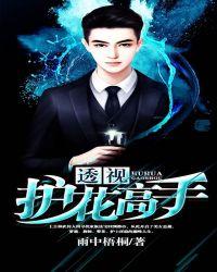 透视护花高手加料
