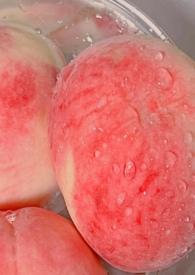 白桃(父女h)免费阅读