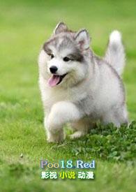 小奶狗最新章节