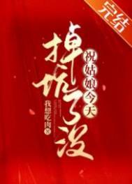 祝姑娘今天掉坑了没txt完结