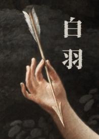 主角叫白羽的