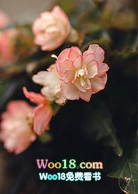 游园惊梦唱词