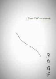 原则崩坏by乌鱼不高兴免费阅读