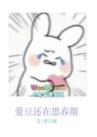 爱豆娱乐圈