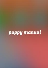 小狗捕食的样子