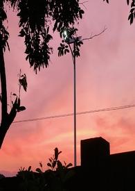 乖宠全文免费阅读