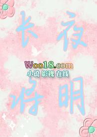 长夜将明晋江