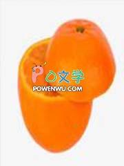 香甜苦辣电视剧