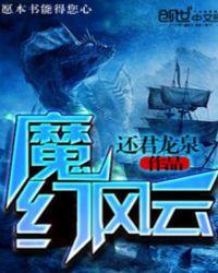 魔幻风云电视剧演员表