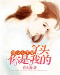 帝少的心尖宠丫头你是我的免费阅读