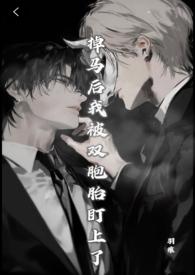 掉马后我成了宠妃 作者起跃