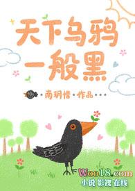 天下乌鸦一般黑歌词