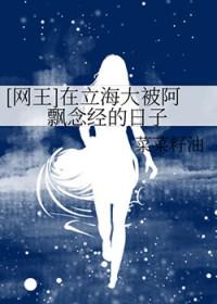 网王立海大的那些事儿