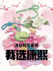 清穿康熙二阿哥