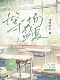 在盛夏等待