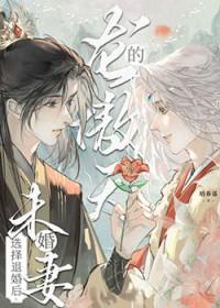 龙傲天什么