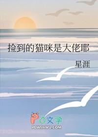 捡到猫了
