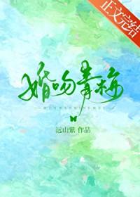 婚吻青梅明枝全文TXT