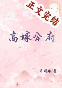 高嫁公府番外by月明珠txt