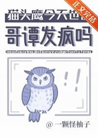哥谭猫头鹰法庭是谁控制的