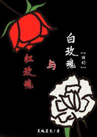 红玫瑰与白玫瑰歌词