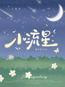 小流星歌词