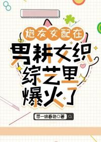 炮灰女和男配戏子