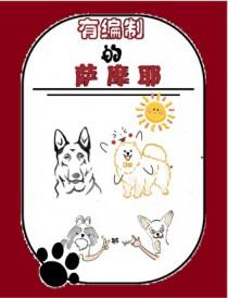 有编制的萨摩耶免费阅读