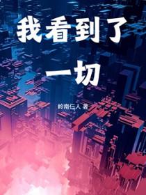 我看到了一切TXT全本