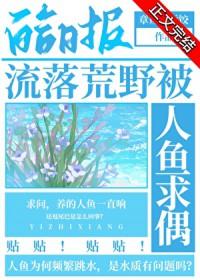 流落荒岛怎么办免费阅读