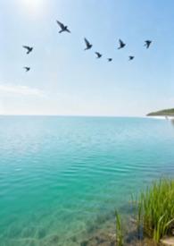 归去来兮辞原文全文