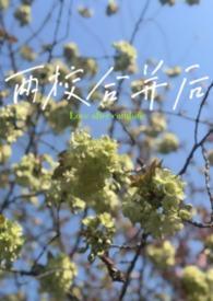 两校合并后的教师感想