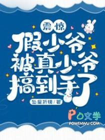 假少爷和真少爷在一起的文
