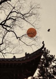 雀儿是什么意思啊