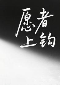愿者上钩完整