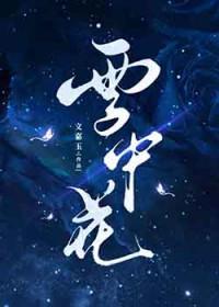 雪中花朵的图片