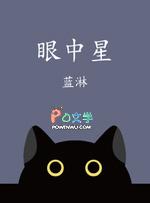 眼中星未删减版txt