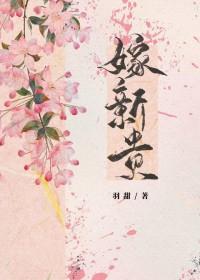 嫁新贵羽甜全文阅读