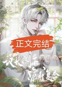 联邦议员人数