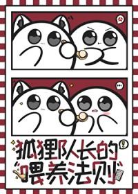 排球少年狐狸队是哪队